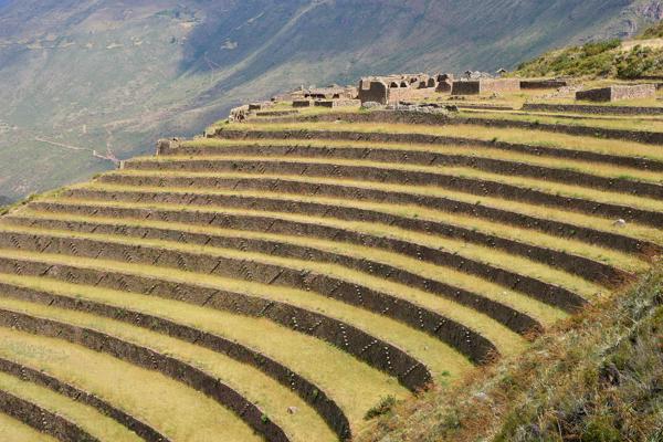 Písac. Sacred Valley. Peru. 2018.
